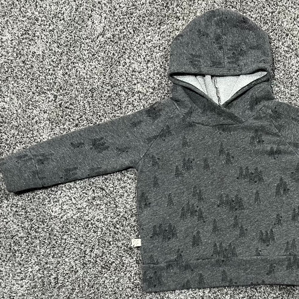Childhoods 18-24m Trademark Raglan Hoodie